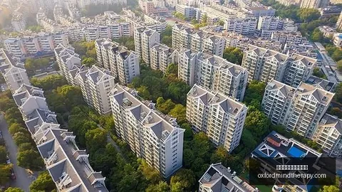 篮球巨星心路历程：阿德巴约分享与科比并肩作战的愿景